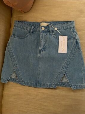 Torn by Ronny Kobo Erika Denim Mini Skirt